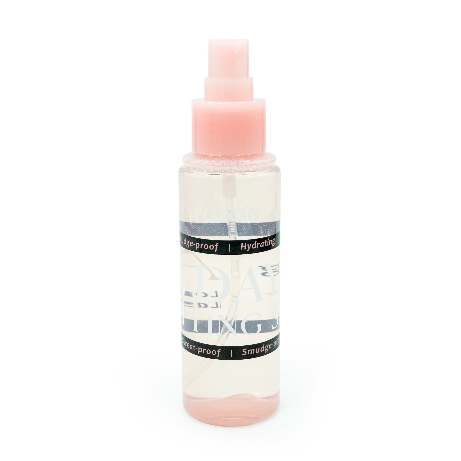 SPRAY FIJACION FEBBLE